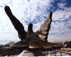 Alzando en vuelo. Parque el Palomar CUUU