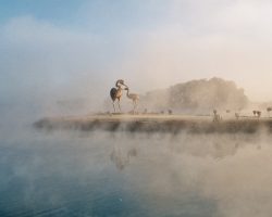 Guachochi, lugar de garzas.