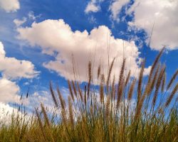 El cielo de Chihuahua
