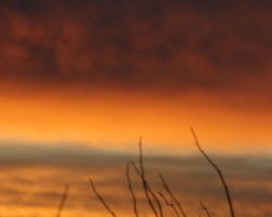 Amanecer en el desierto, Coyame, Chihuahua.